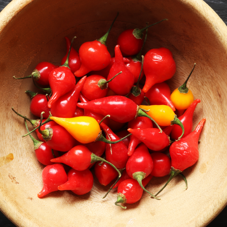 Visit All Brazilian Food & Beverage - Brazilian Fresh Peppers Importer